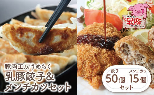 
U04-10 国産ブランド豚使用！ 乳豚 餃子50個＆メンチカツ15個セット 国産 豚メンチカツ 豚肉 人気 おすすめ ぶたにく 餃子 ぎょうざ ギョウザ ミンチ 惣菜 おかず 冷凍 ブランド豚
