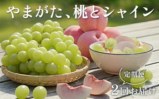 
                  やまがた、桃とシャイン定期便 FSY-2929
                