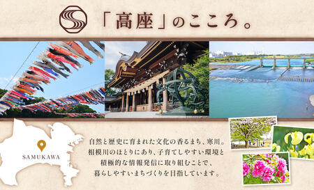 定期便 全2回お届け キリン おいしい免疫ケア カロリーオフ 機能性表示食品 イミューズ iMUSE ヨーグルトテイスト プラズマ乳酸菌 健康管理 健康習慣【 寒川町 】 ドリンク 飲み物 カロリー５