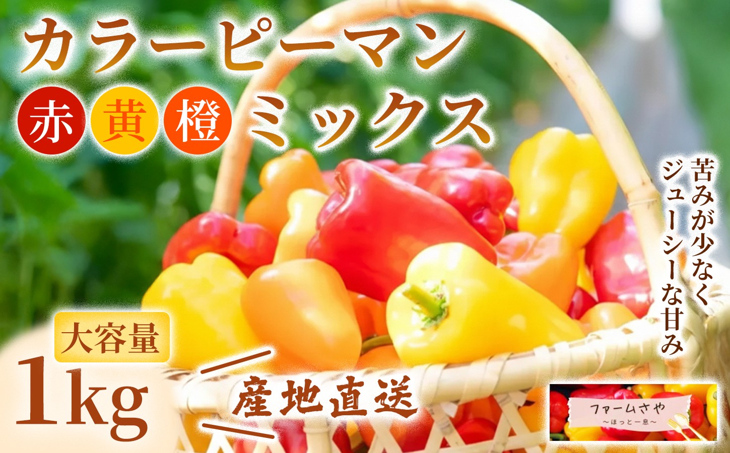 
                  【1kg×1箱】カラーピーマン（ミックス）
                