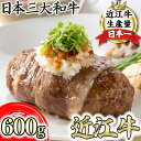 【ふるさと納税】【カネ吉山本】近江牛包みハンバーグ　150g×4個（デミグラスソース・和風ポン酢ソース付き）