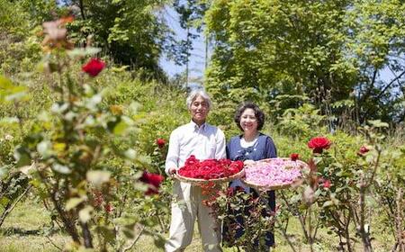 濃厚・優雅なバラアイス【赤・ピンク】計6個セット