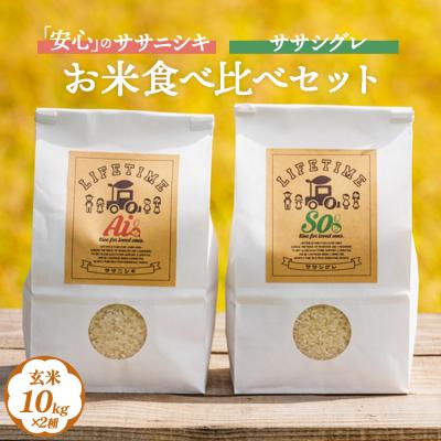ふるさと納税 石巻市 ササシグレ 玄米 10kg ササニシキ 玄米 10kg 食べ比べ ささしぐれ ささにしき お米 コメ