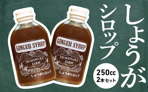 
【農家手作り】中土佐町産　しょうがシロップ２本セット（活用レシピ付き）
