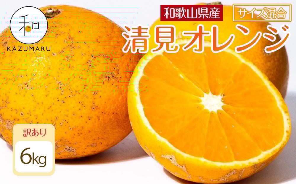 
            訳あり 森本農園の手選別 清見オレンジ 6kg 和歌山県産 サイズ混合 ［北海道・沖縄・離島配送不可］［RN24］［2026年2月上旬から5月中旬頃順次発送予定］
          