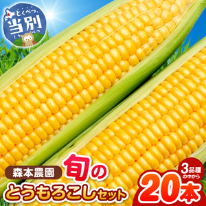 【2026年先行予約】 森本農園 とうもろこし20本セット 
