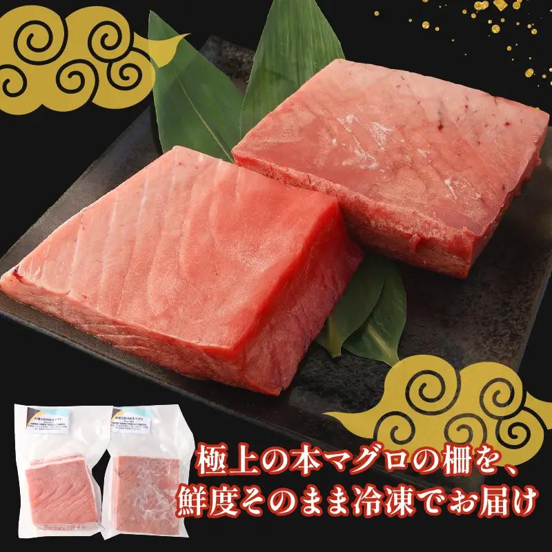 天然本マグロ 中トロ 大トロ 1kｇ本鮪 まぐろ 食べ比べ 国産鮪 天然鮪
