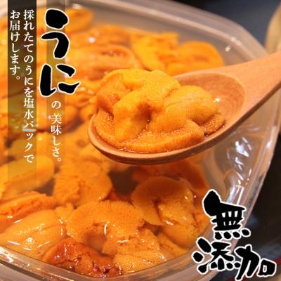 ふるさと納税 根室市 ＜計200g＞無添加蝦夷バフンウニ塩水パック100g×2P F-90003