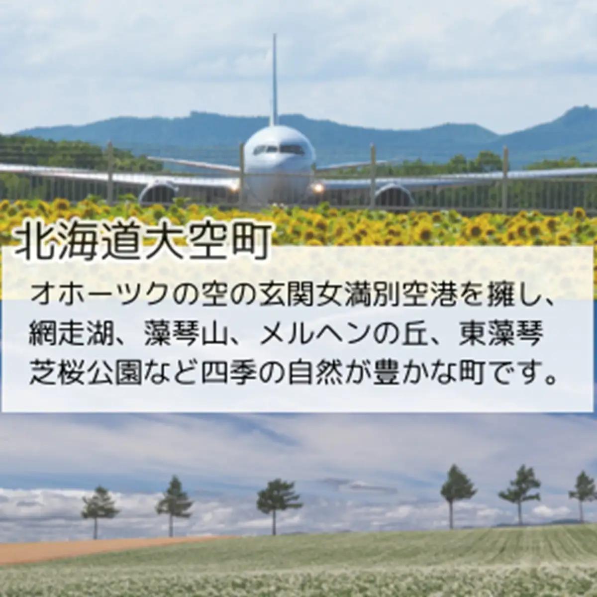 【先行予約】じゃがいも（ゆめいころ） LMサイズ 10kg 大空町産（2026年10月以降順次発送） OSR012 | じゃがいも ゆめいころ