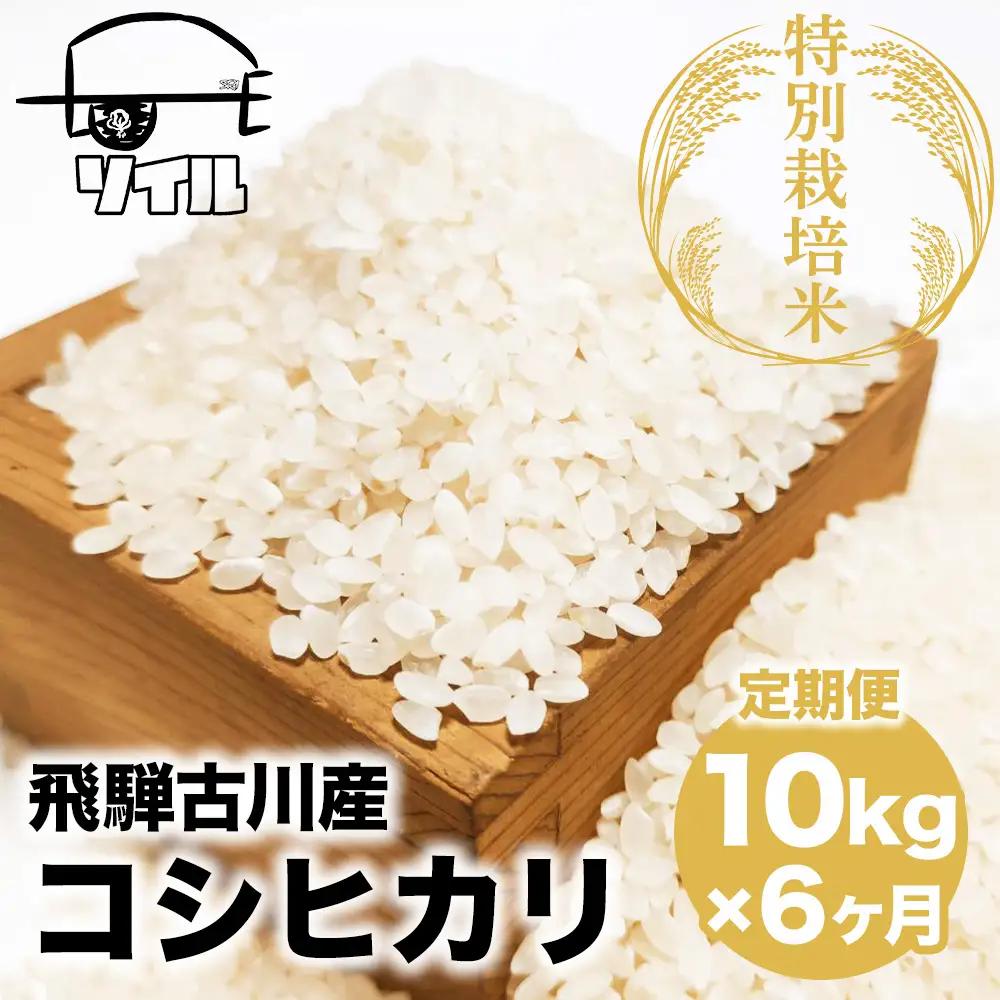 【米 定期便】 令和8年産 コシヒカリ白米 10kg×6か月 / 新米 米 こしひかり ソイル 