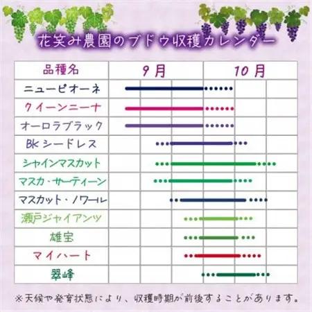岡山　花笑み農園のブドウ『10月おすすめ 2種セット』1kg(2房)2M-1L【配送不可地域：離島・北海道・沖縄県】【1627769】