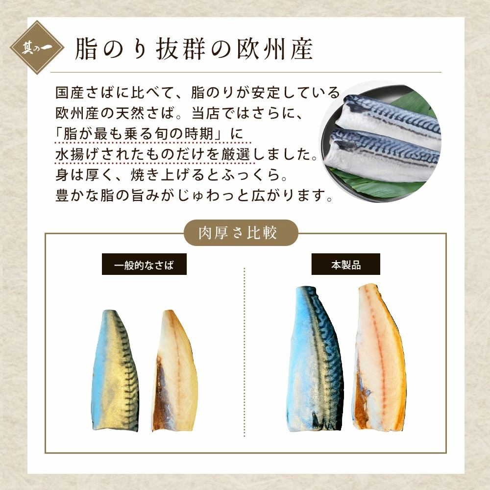 訳あり サバ さば 塩さば 塩サバ 塩鯖 昆布 昆布塩 3kg 冷凍 フィレ フィーレ 切り身 大容量 【四国中央市 紙のまち 日本一】