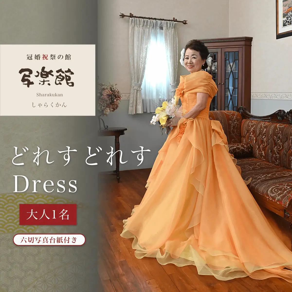 どれすどれすDress（大人１名）六切写真台紙付き KBM003