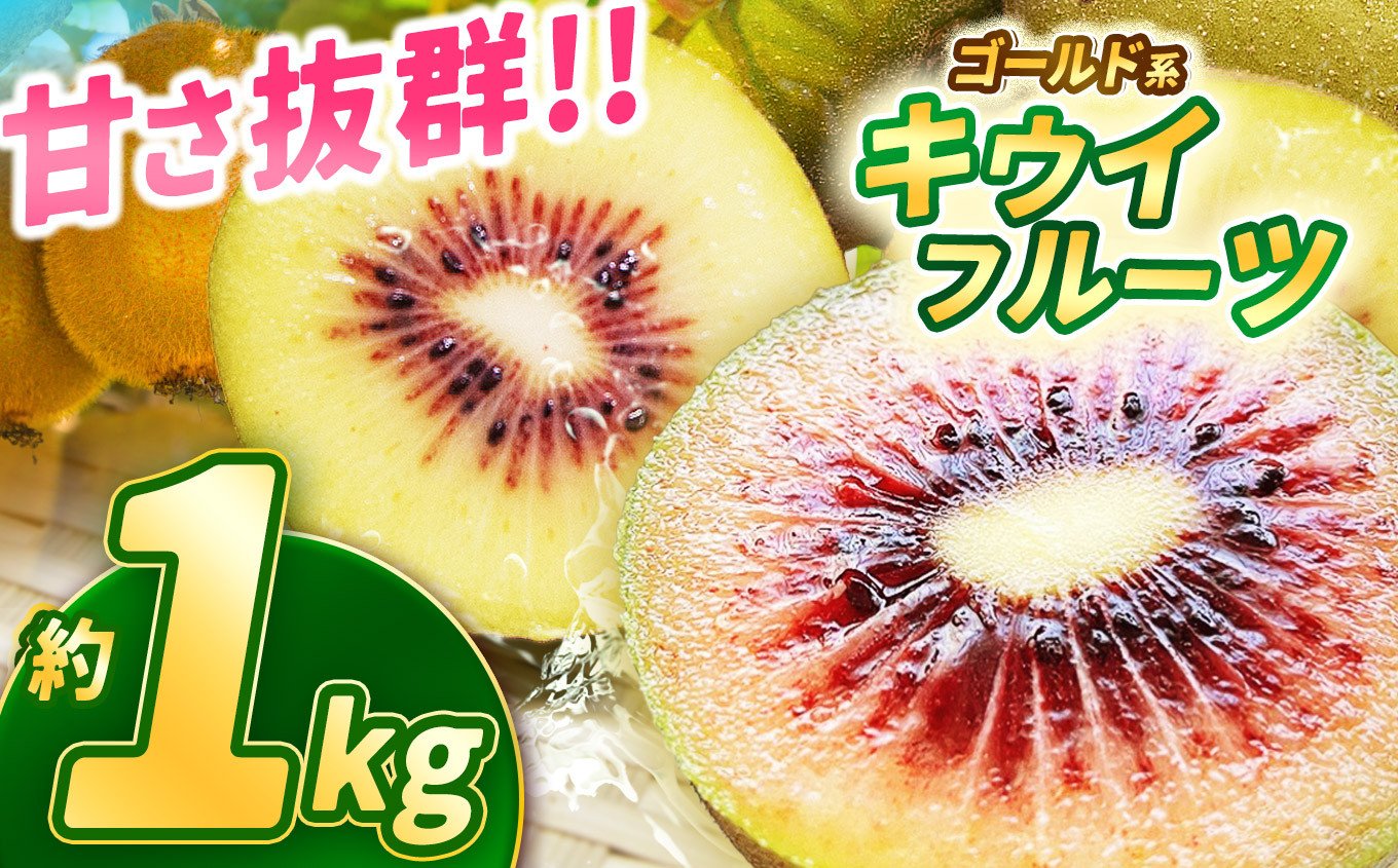 
            完熟 甘さ抜群のゴールド系 キウイフルーツ 約1kg | 果物 くだもの フルーツ 野菜 やさい ヤサイ キウイ きうい ゴールドキウイ ごーるどきうい 新鮮 フレッシュ 甘い 美味しい フルーツ デザート 栃木県 那珂川町 送料無料
          