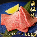 【ふるさと納税】飛騨牛ロースまたは肩ロース600g (焼肉・BBQ用)【配送不可地域：離島】【1042664】