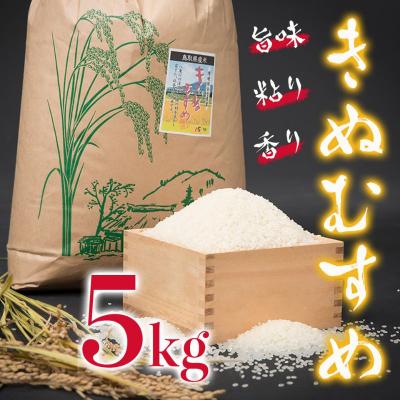 ふるさと納税 八頭町 【令和8年産米】きぬむすめ5kg(新米収穫後の10月以降発送)