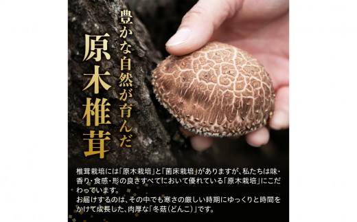 冷凍 原木しいたけ（冬菇）1kg 椎茸 どんこ 冷凍 ドリップ 個別包装 国産 出汁 料理 天然もの きのこ 旨味 煮物 天ぷら 炊き込みご飯 F07040