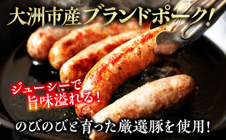 【お中元対象】秒でプラスもう一品！大洲市産ブランドポーク『オズの箱入り娘』を使用したベーコンとウィンナーセット（小）　愛媛県大洲市/株式会社オズメッセ[AGAZ001]ベーコンソーセージウインナーベー