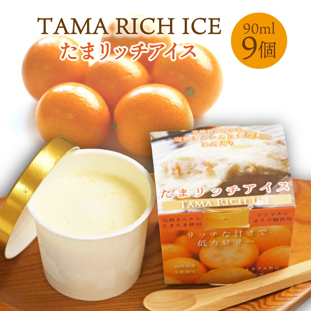 【ふるさと納税】串間市産きんかんたまたま使用！たまリッチアイス詰合せ(9個) 【たまたまクラブ】【AQ-A1】