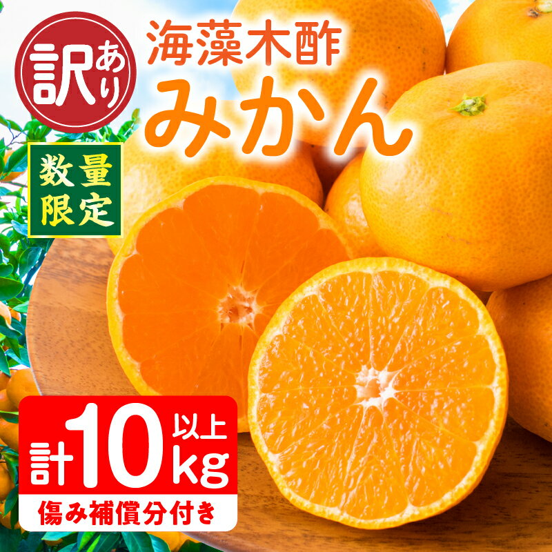 【ふるさと納税】訳あり 数量限定 海藻木酢みかん 計10kg以上 傷み補償分付き フルーツ 果物 くだもの 柑橘 みかん 国産 期間限定 食品 家庭用 自宅用 B品 わけあり オレンジ みかんジュース デザート おやつ おすすめ おすそ分け ご褒美 産地直送 宮崎県 日南市 送料無料