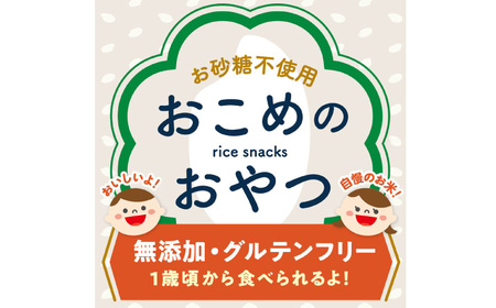 【全12回定期便】おこめのおやつ 10袋セット【株式会社キゴコロ】[YDZ007]