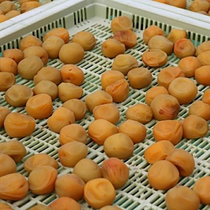 【贈答用】紀州南高梅 しそ風味梅干 400g 化粧箱入 【US21】　CB90018_イメージ2