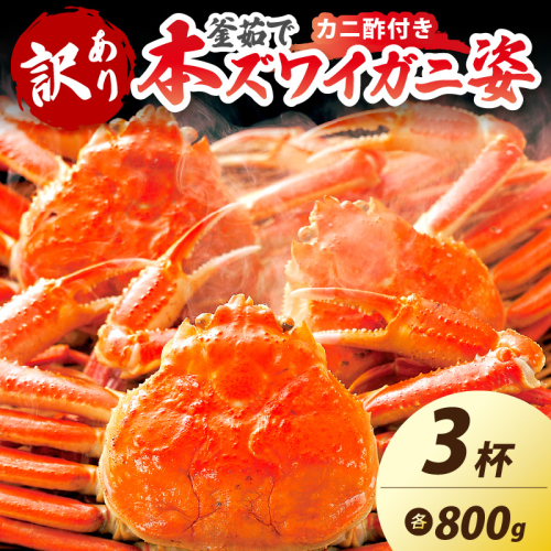 【大好評！カニ酢付き】訳あり！釜茹で！特大本ずわいがに姿 800g×3杯