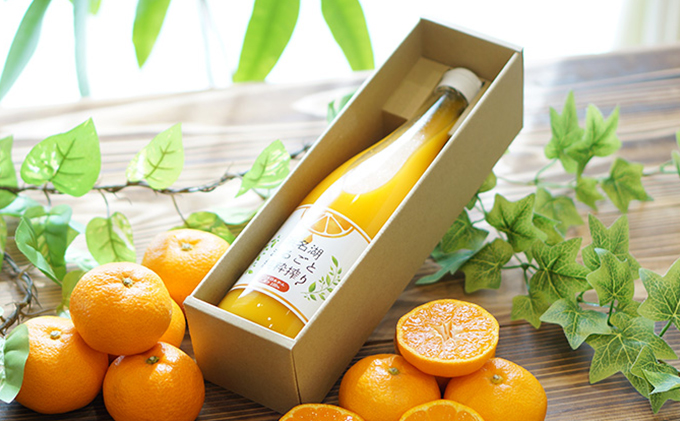 三ヶ日みかんジュース「浜名湖まるごと純粋搾り」720ml 1本【静岡 三ヶ日 みかん ジュース】