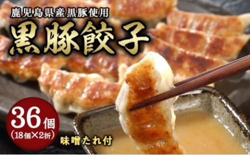 【兵庫県芦屋市】【ふるさと納税】黒豚餃子2折セット【冷凍 ぎょうざ ギョ−ザ 中華 点心 惣菜 ギフト お中元 お歳暮】