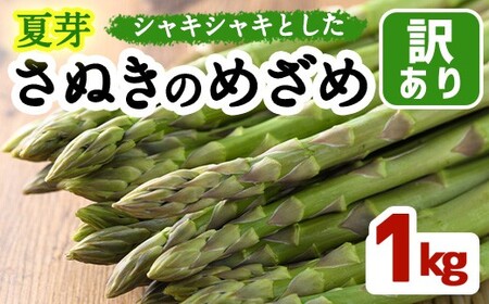 ＜期間限定！2026年6月上旬以降順次発送＞＜訳あり＞夏芽！さぬきのめざめ(約1kg) 香川県 国産 野菜 アスパラ 新鮮 冷蔵便 【man082-A】【Aglio nero】