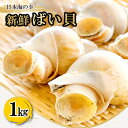 【ふるさと納税】 新鮮 ばい貝 1kg 魚介類 魚貝類 貝類 バイ貝 白バイ貝 日本海 おつまみ 酒の肴 煮付け バター焼き 酒蒸し おかず お弁当 高タンパク 低脂肪 冷蔵 特産品 お取り寄せ グルメ