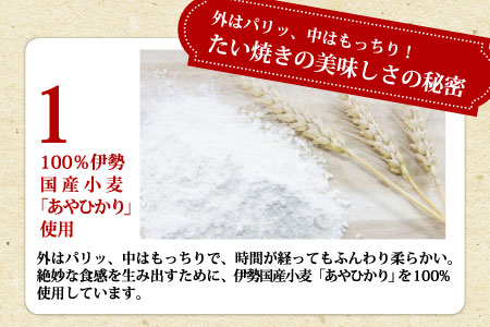 圧倒的リピート率★たい焼き 化学添加物不使用のからだに優しいつぶあん 8枚セット 個包装