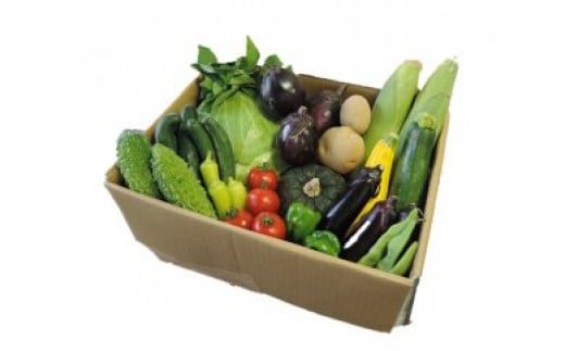 
                  野菜 セット 季節の野菜 おまかせ 坂北やさいBOX｜ 野菜 詰め合わせ 地元野菜 人気 おすすめ  新鮮 おまかせセット 送料無料 長野県 筑北村 信州 ふるさと納税
                