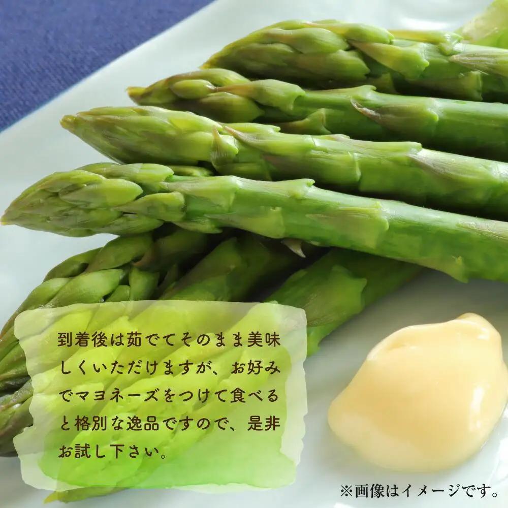 高評価★4.8 朝採り グリーンアスパラ L 1kg (2027年5月下旬発送開始) | アスパラ 北海道_03901