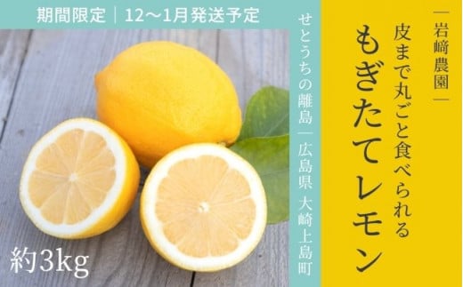 [12〜1月発送] 大崎上島産 皮まで丸ごと食べられる！もぎたてレモン約3kg