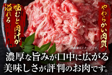 【ふるなびWEEK対象】訳あり 牛肉 切り落とし 1kg 博多和牛肉 CP016