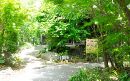 【ゆっくりとした時間をあなたに♪】 「湯治楼」入湯券20枚 食器 皿 【はさみ温泉】 [JA01]