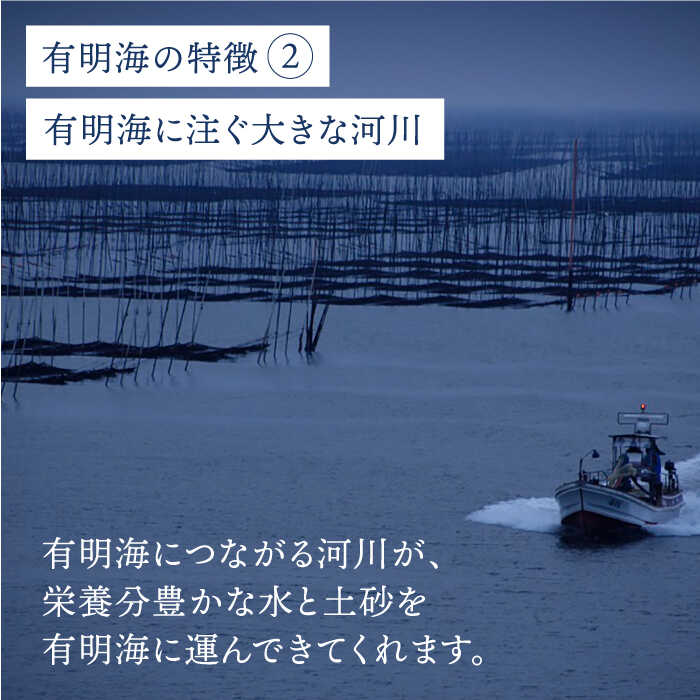 ＜塩のり＞佐賀海苔ボトル（8切56枚）2本セット 株式会社サン海苔/吉野ヶ里町 [FBC033]