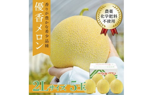 数量限定！有機栽培の優香メロン2L×5玉