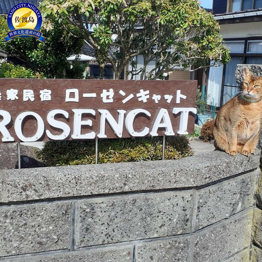 【ふるさと納税】バラと猫に癒やされるローゼンキャット宿泊プラン 2名様／1名様