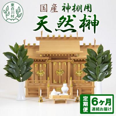 ふるさと納税 東白川村 【6ヵ月連続お届け定期便】 神棚用 国産榊 2束