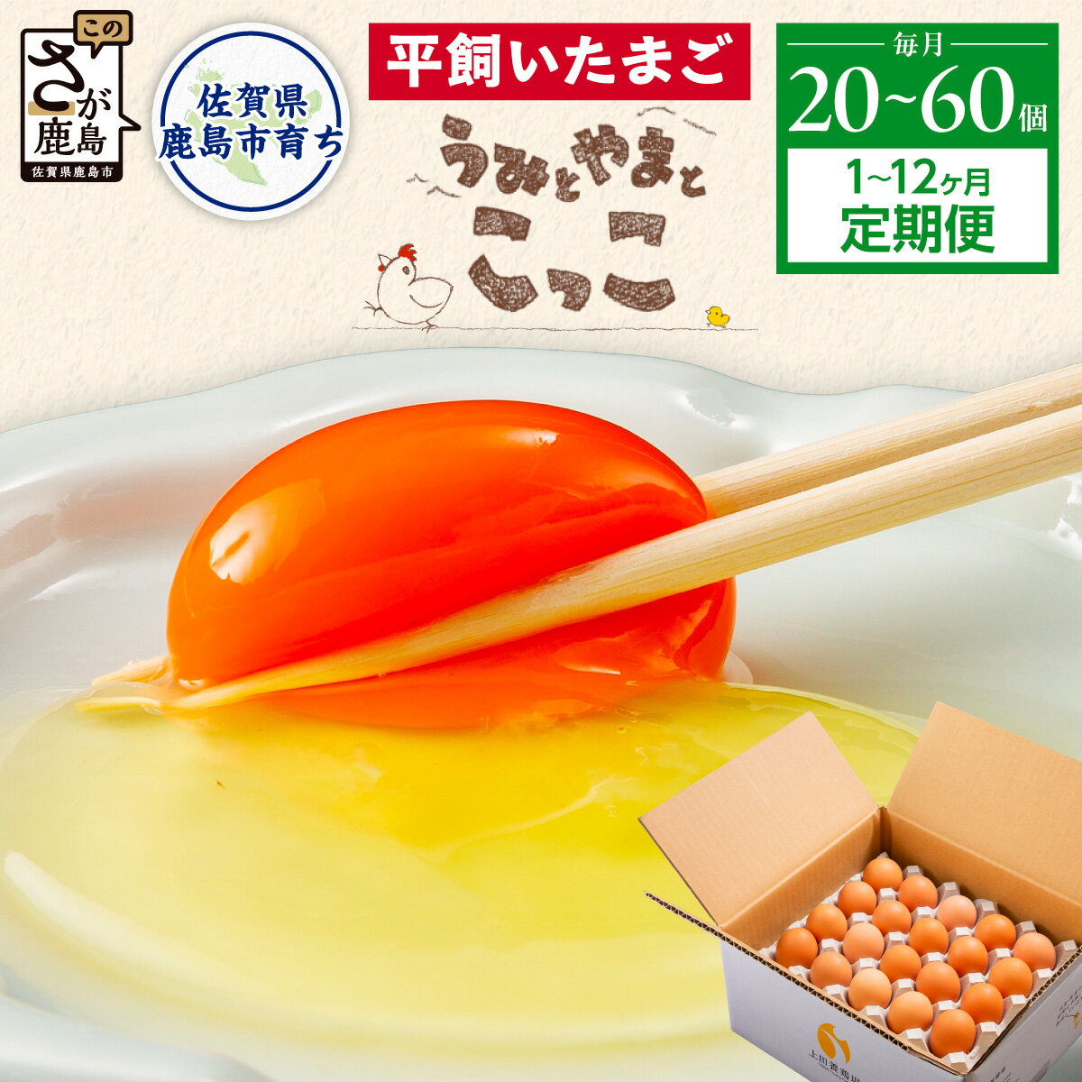 【ふるさと納税】★5.0 平飼い卵 定期便 20〜60個 1～12ヶ月 うみとやまとこっこ サイズ混合 上田養鶏場 | ふるさと納税 卵 たまご 生卵 鶏卵 赤たまご 平飼い 新鮮 濃厚 単品 定期便 1回 2回 3回 6回 12回 ふるさと 人気 おすすめ 産地直送 佐賀県 鹿島市 送料無料 B-396