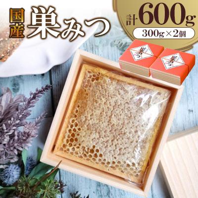 ふるさと納税 広川町 国産　巣みつ　600g(300g×2個)(広川町)