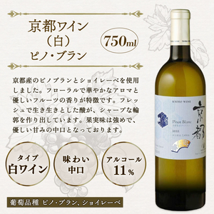 赤白ワイン飲み比べ 2本セット 丹波ワインセット ワインセット2本 ワインセット赤白 京都ワインセット 国内醸造ワインセット