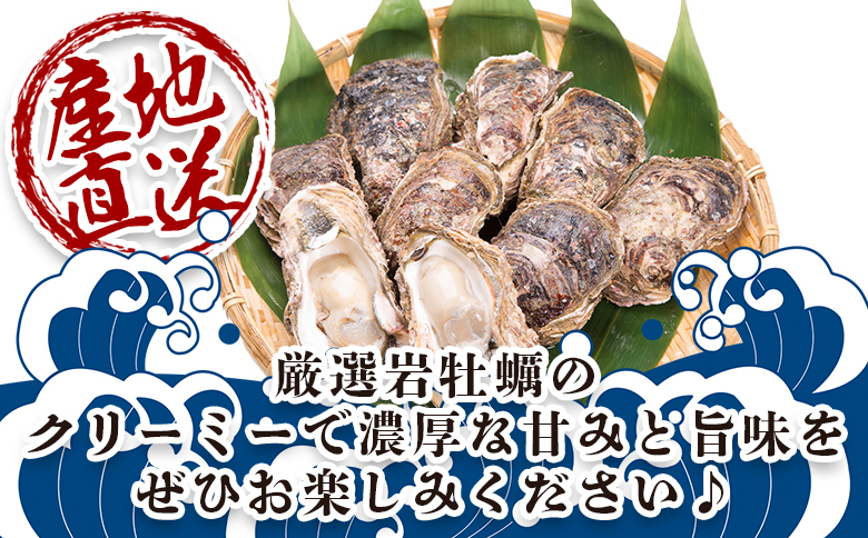 バーベキューセット(伊勢海老・岩ガキ) 2~3人前 冷凍 eb-0015