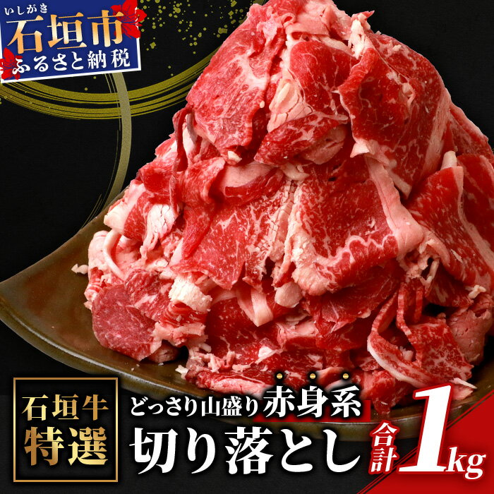 【ふるさと納税】石垣牛・赤身系切り落とし　どっさり山盛り1kg入り 冷凍 牛肉 沖縄県石垣市 送料無料 SI-17