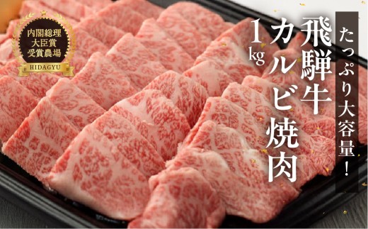 たっぷり大容量！飛騨牛カルビ焼肉用（1kg）最高級 国産 牛肉 ブランド牛  和牛 焼き肉用 ギフト 贈答 【冷凍】