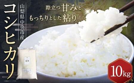 【 令和7年産 】 中央市産 コシヒカリ 10kg 米 お米 白米 精米 こしひかり 国産 山梨県産 ご飯 白飯 おにぎり