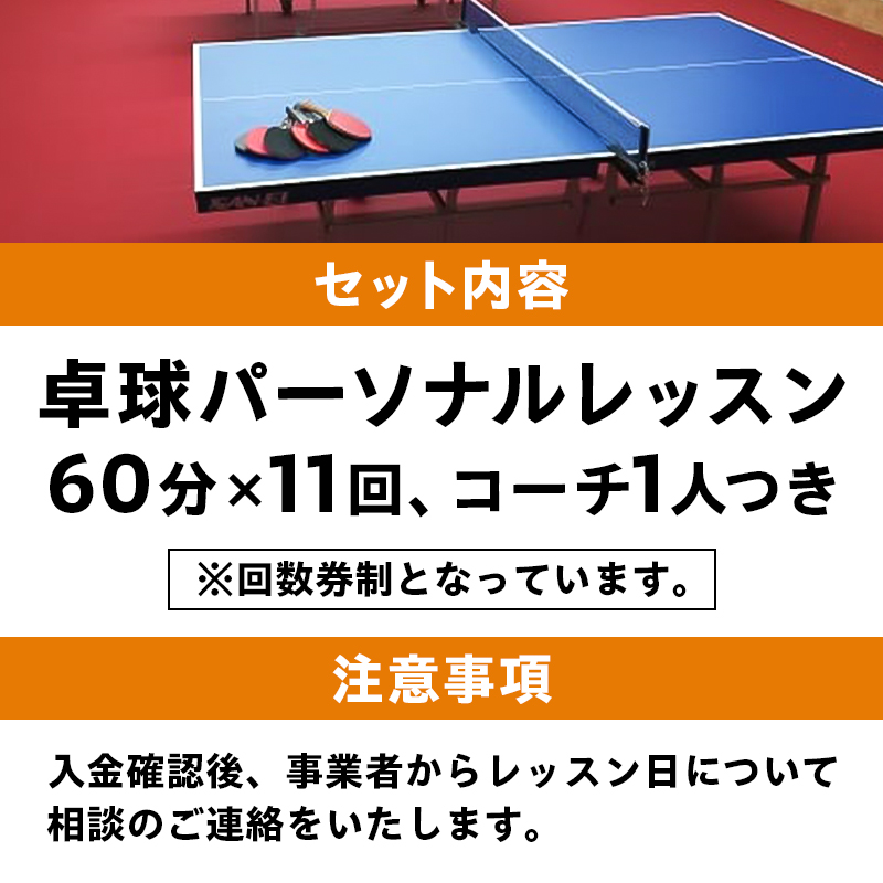 卓球パーソナルレッスン（60分×11回）コーチ１人【0075-004】_イメージ3