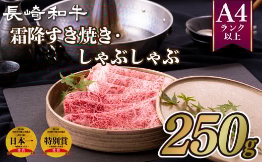 B256p 長崎和牛霜降すき焼き･しゃぶしゃぶ(250g)